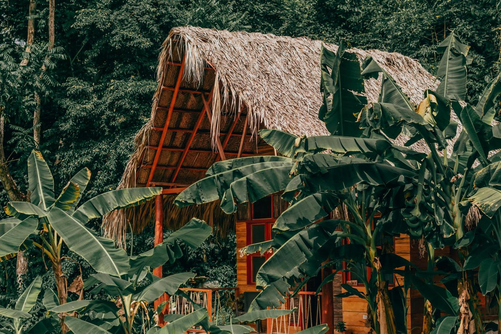 Magic Green Dentro Del Parque Tayrona El Zaino Eksteriør bilde