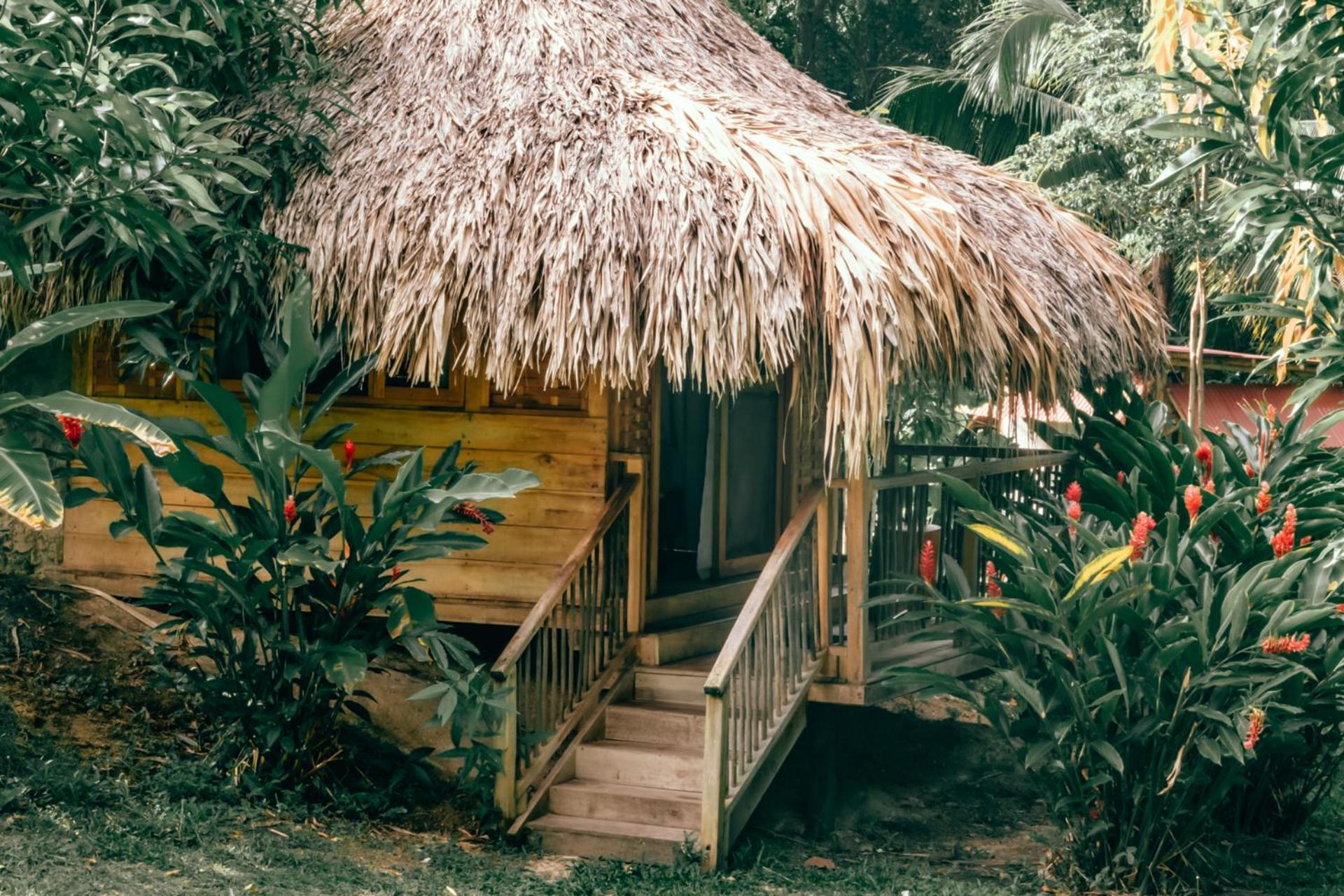 Magic Green Dentro Del Parque Tayrona El Zaino Eksteriør bilde