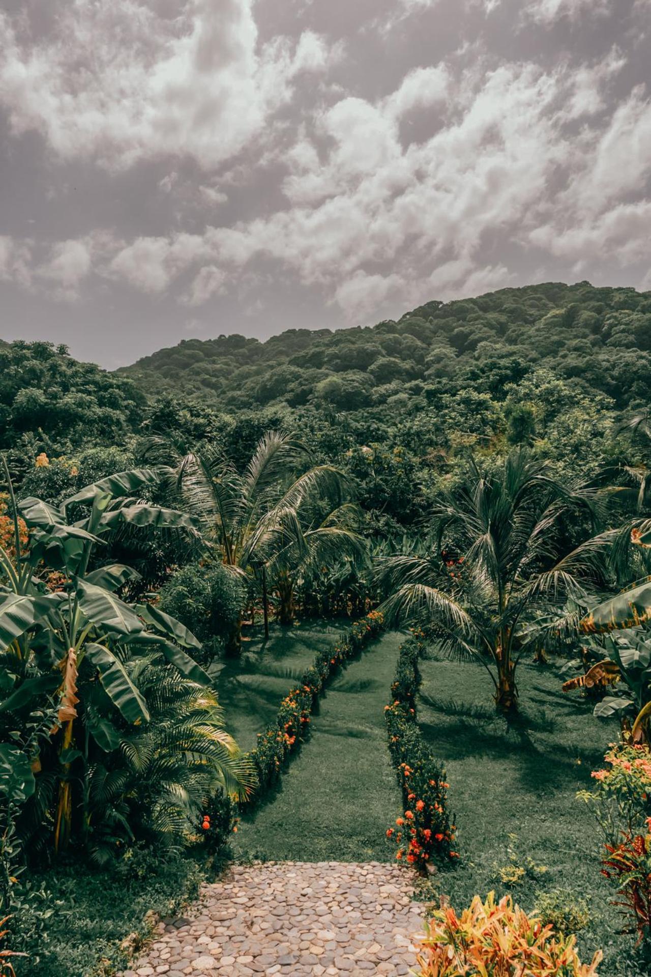 Magic Green Dentro Del Parque Tayrona El Zaino Eksteriør bilde
