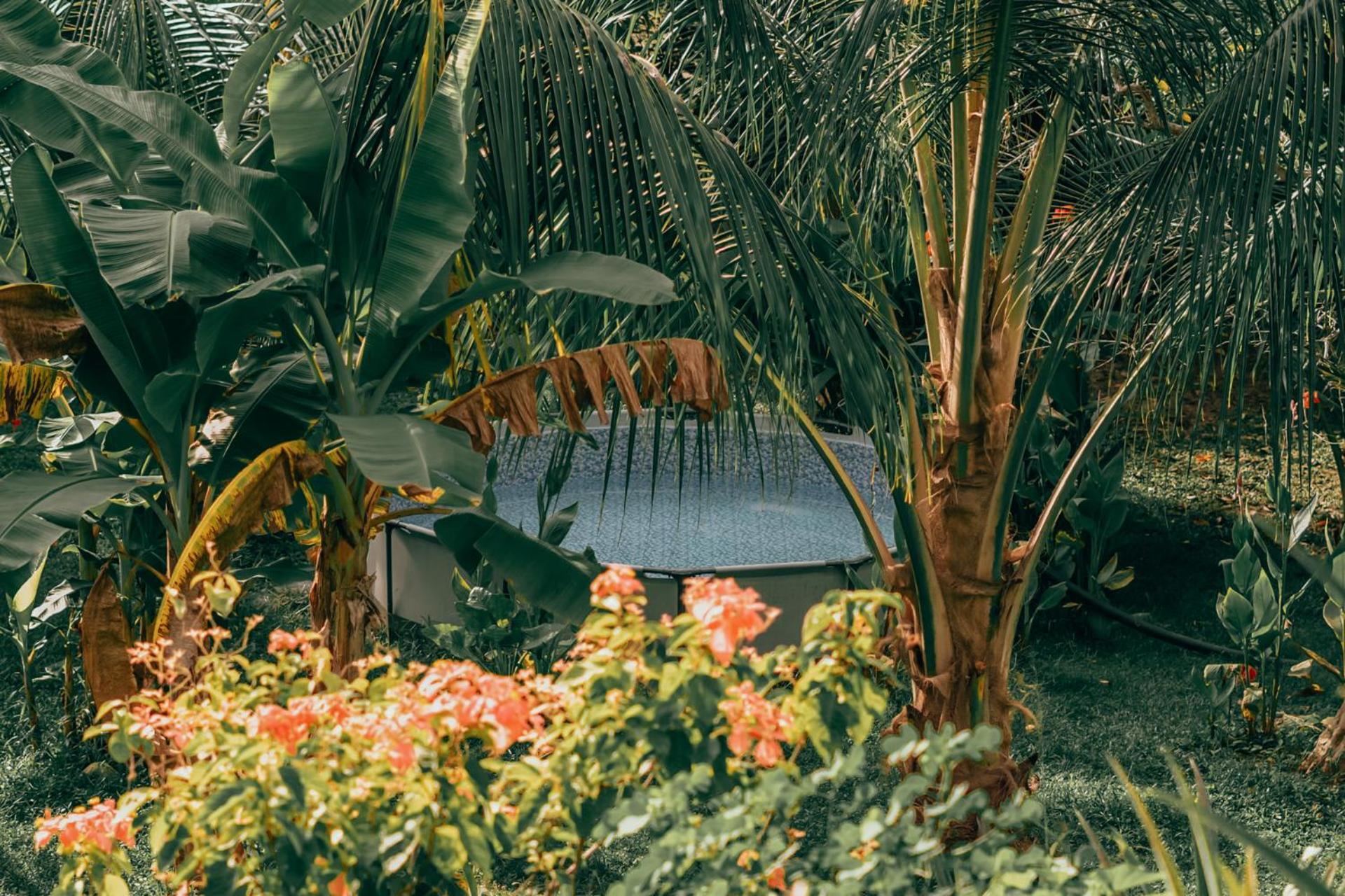 Magic Green Dentro Del Parque Tayrona El Zaino Eksteriør bilde